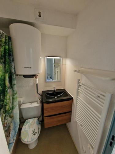ein kleines Badezimmer mit Waschbecken und Toilette in der Unterkunft studio tout équipé proche therme in Lamalou-les-Bains