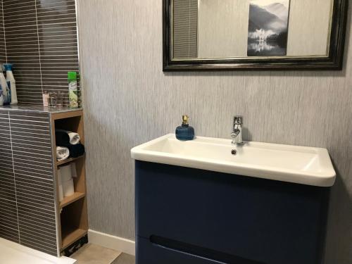 a bathroom with a white sink and a mirror at Rannoch Lodge in Auchterarder