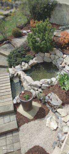 a garden with a pond and a pot on the ground at Chambres d'hôtes Au Doubs Murmure in Les Fins