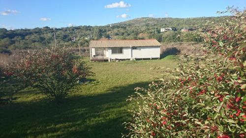 una piccola casa bianca in un campo con un albero di Runa, Marcos de los Reyes villa serrana a Minas