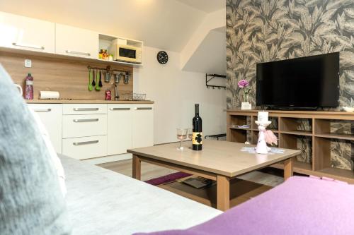 TV a/nebo společenská místnost v ubytování NISA Apartments