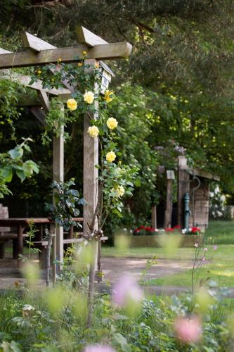 a garden with a wooden pergola with yellow flowers at Ferienwohnungen Schierbaum in Lembruch
