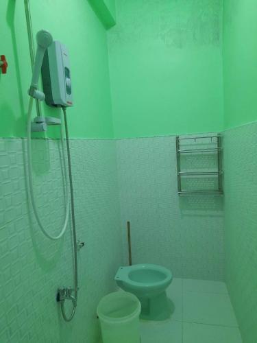 a green bathroom with a toilet and a shower at Baguio Transient in Baguio