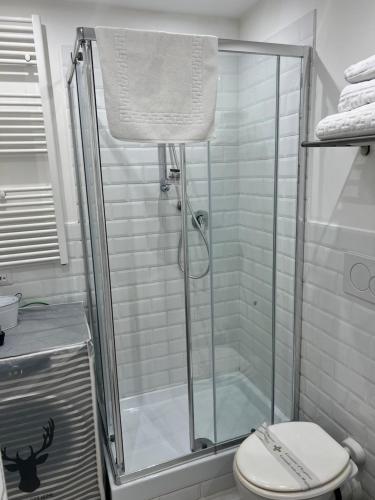 ein Bad mit einer Glasdusche und einem WC in der Unterkunft Madonna dei Monti in Rom