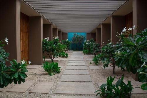 a corridor of a building with trees and plants at JW Marriott Los Cabos Beach Resort & Spa in San José del Cabo