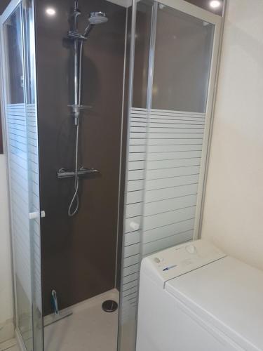 une douche avec une porte vitrée à côté des toilettes dans l'établissement AGREABLE VILLA DANS LA MARINA AVEC PISCINE, à Saint-Cyprien