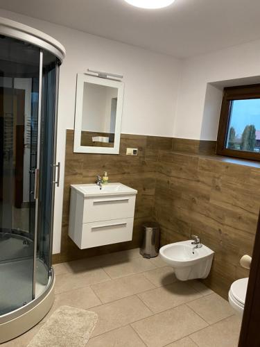 een badkamer met een douche, een wastafel en een toilet bij Dom Wiktor 