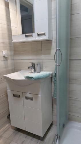 y baño con lavabo y ducha. en Bili 2, en Paraćin
