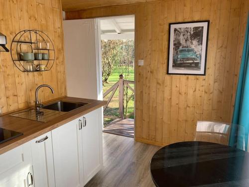 a kitchen with a sink and a door to a yard at chalet paradisiaque en bord de Marne Proche de Disneyland in Isles-lès-Villenoy