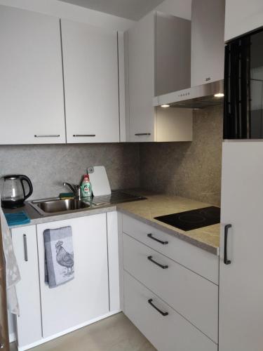 布魯塞爾的住宿－Mathilde，白色的厨房配有白色橱柜和水槽