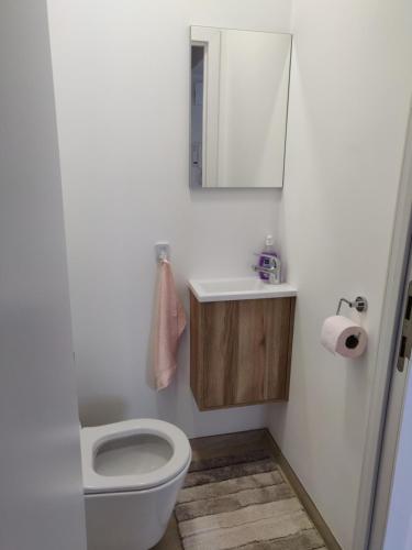 een badkamer met een toilet, een wastafel en een spiegel bij Mathilde in Brussel