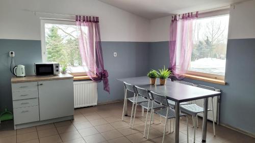 kuchnia ze stołem i krzesłami w pokoju w obiekcie Felix- Hostel Pracowniczy w mieście Skierniewice
