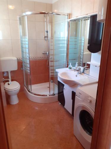 La salle de bains est pourvue d'une douche, de toilettes et d'un lavabo. dans l'établissement Apartman Bonaca, à Jadranovo