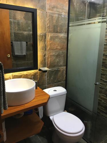 La salle de bains est pourvue de toilettes, d'un lavabo et d'une douche. dans l'établissement Hermosa casa con piscina climatizada entre el mar y las sierras en Bella Vista - Piriápolis, à Bella Vista