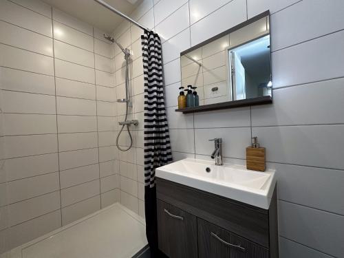 a bathroom with a sink and a mirror and a shower at Hidden Gem next to TU Delft Campus Family XL house in Delft