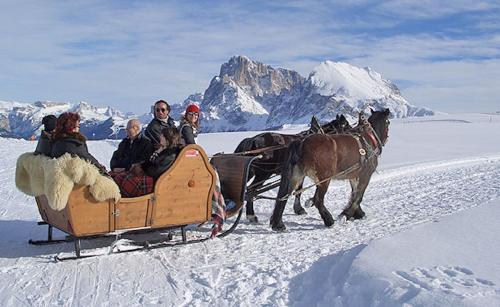 Επισκέπτες που μένουν στο Camera Alpe di Siusi