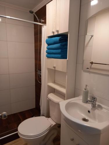 y baño con aseo, lavabo y toallas azules. en Cabañas y Departamentos Las Palmas, Temuco Depto 3, en Temuco