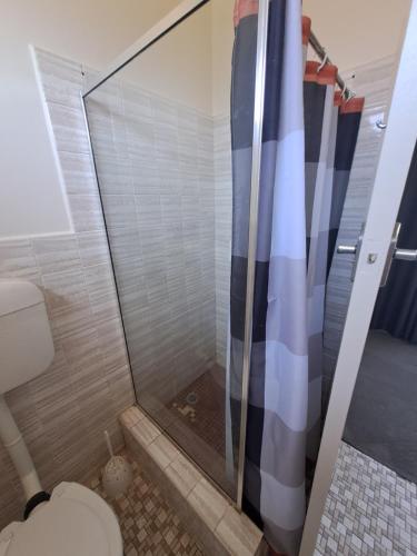 a bathroom with a shower with a toilet at Great Western Motel in Great Western