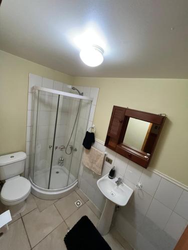 a bathroom with a shower and a toilet and a sink at Cabaña Central Coyhaique in Coihaique