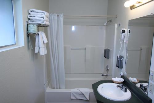 ein Badezimmer mit einer Dusche, einem Waschbecken und einer Badewanne in der Unterkunft Oakhurst Lodge in Oakhurst