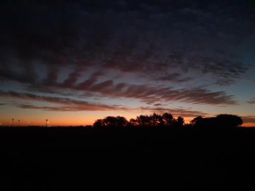 ein Sonnenuntergang auf einem Feld mit Bäumen im Vordergrund in der Unterkunft El Sauce de las Vegas in Cobquecura