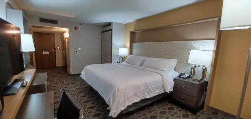 Cette chambre comprend un grand lit et un bureau. dans l'établissement Holiday Inn - McAllen - Medical Center Area, an IHG Hotel, à McAllen