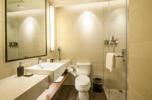 上海的住宿－上海徐汇同文君亭酒店，浴室配有卫生间、盥洗盆和淋浴。