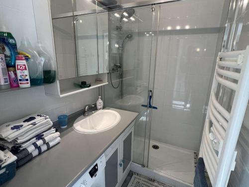 uma casa de banho com um lavatório e um chuveiro em Appartement Valras-Plage, 2 pièces, 4 personnes - FR-1-701-55 em Valras-Plage