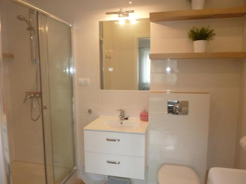 uma casa de banho com um chuveiro, um lavatório e um WC. em Apartament Zebra em Świeradów-Zdrój