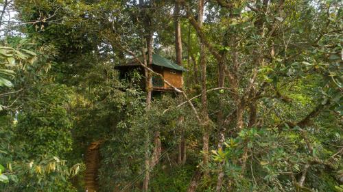 a bird house in a tree in the forest at Ela Ecoland Nature Retreat in Munnar