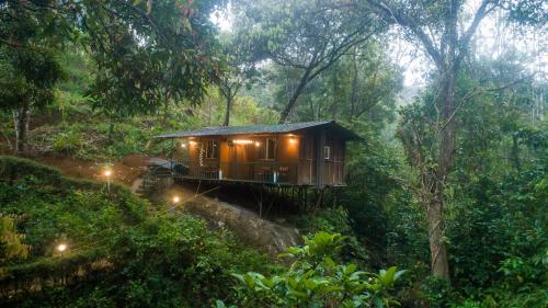 a cabin in the middle of a forest at Ela Ecoland Nature Retreat in Munnar