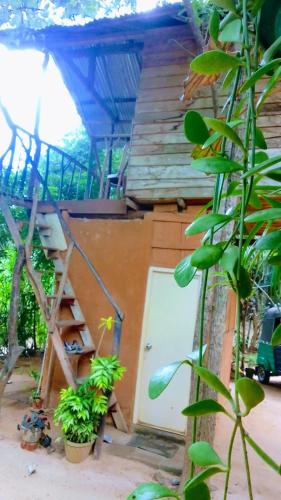 a small house with a ladder next to a door at Angry Birds Tree house in Habarana