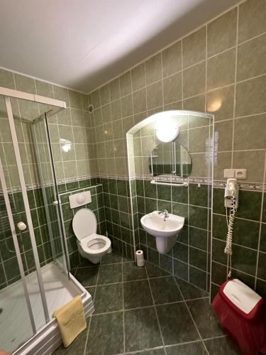 La salle de bains est pourvue de toilettes, d'un lavabo et d'une douche. dans l'établissement Penzion Erika, à Boží Dar