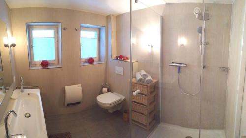 y baño con ducha, aseo y lavamanos. en Ferienhaus Lindaubachgütl, en Fieberbrunn