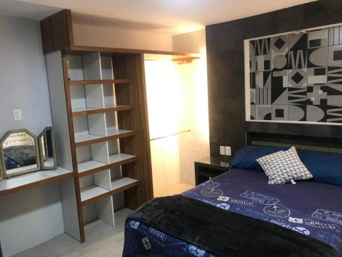a bedroom with a bed and a book shelf at Habitación Irving confortable con baño privado in Mexico City