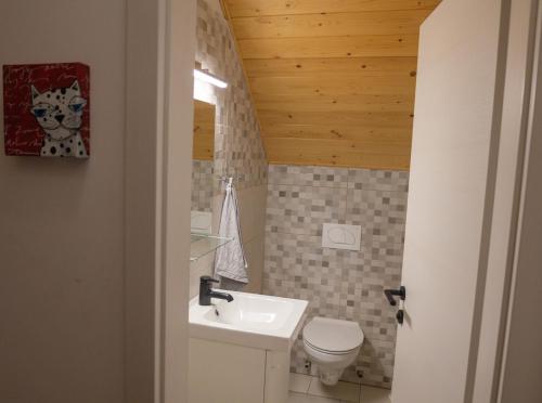 La salle de bains est pourvue d'un lavabo et de toilettes. dans l'établissement Koča na Kučarju / House on a Hill, à Gradac