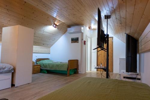 ein Schlafzimmer mit einem Bett und einem TV in einem Zimmer in der Unterkunft Koča na Kučarju / House on a Hill in Gradac