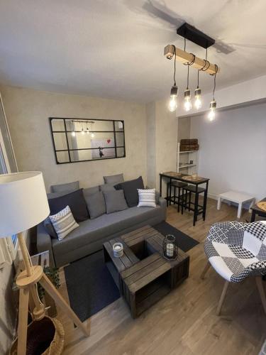 un salon avec un canapé et une table dans l'établissement Le Charmant Paillot Hyper Centre classé, à Troyes