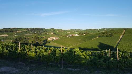 Villa Gramolina – Photos 4