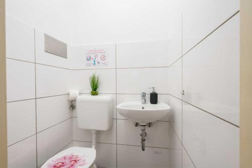 La salle de bains blanche est pourvue de toilettes et d'un lavabo. dans l'établissement Modern Apartment near Bottrop, à Gladbeck