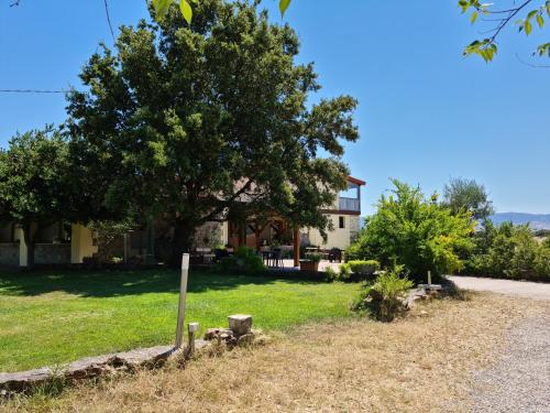 a house with a tree in front of it at Agriturismo Sa Pigalva in Tula