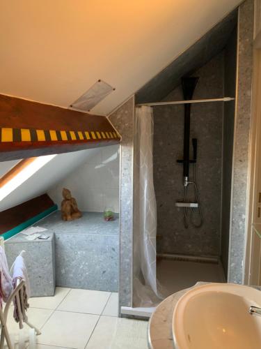 ein Badezimmer mit Dusche und ein Bett in einem Zimmer in der Unterkunft Le Castillon in Trivières