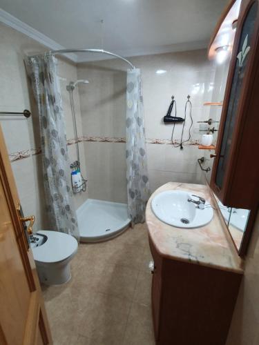 une salle de bain avec un lavabo, des toilettes et une douche dans l'établissement Apartamento Alkabir Playa, à El Campello