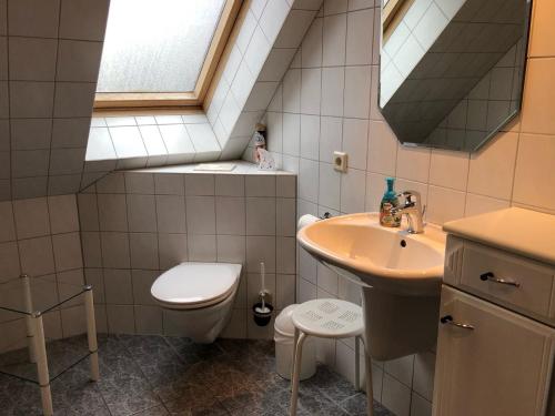 a bathroom with a sink and a toilet and a window at Birkenstr_17 OG in Groß Kirr
