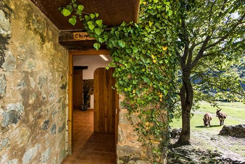 an entrance to a building with two animals walking through it at Casas Rurales Molinias in Fosado