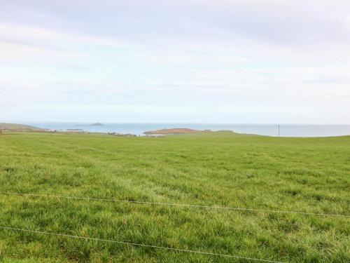 a field of green grass with the ocean in the background at Ballycahane in Castletownshend