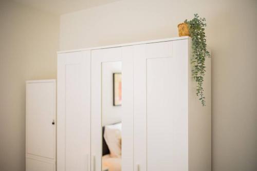 a white cabinet with a plant on top of it at Lovely 3 Bedroom Apartment in Eindhoven 65m2 in Eindhoven