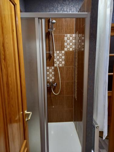 a bathroom with a shower with a toilet in it at Apartment Hotel Rubini in Ventspils