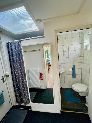a bathroom with a toilet and a shower at BBBoekelo appartement in Boekelo