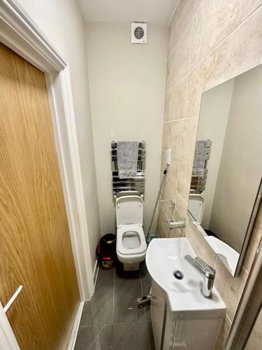 a small bathroom with a toilet and a sink at SE4, Self contained studio flat. in London